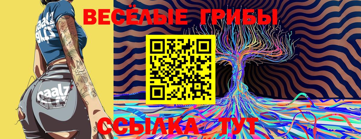 Богданович  Псилоцибиновые грибы MAGIC MUSHROOMS  Вход с VPN 