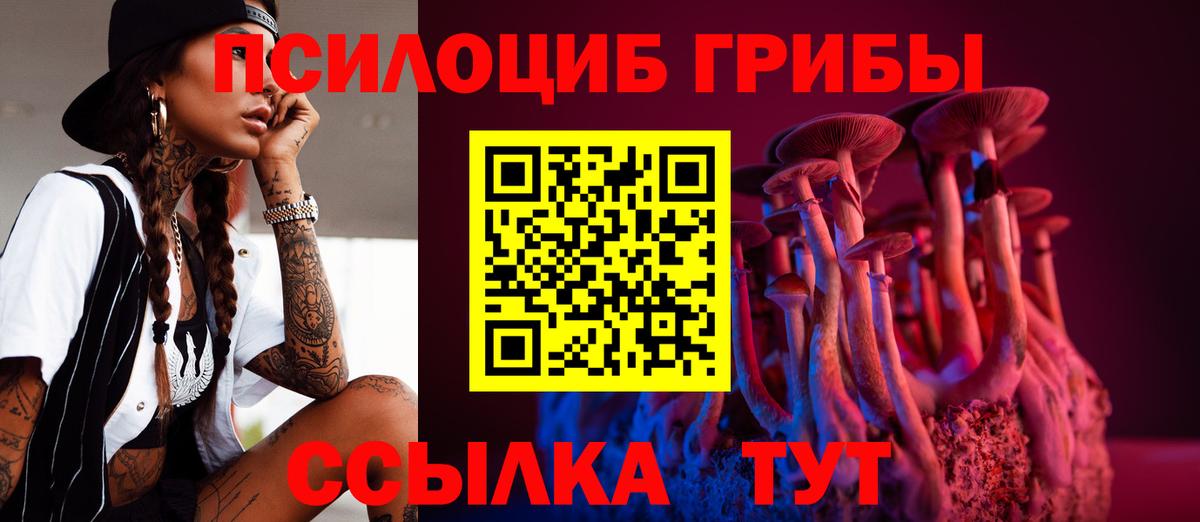Галлюциногенные грибы Psilocybe Богданович